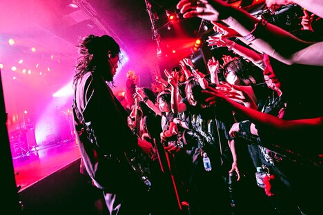 antz（G / Tokyo Shoegazer）（Photo by Victor Nomoto - Metacraft）