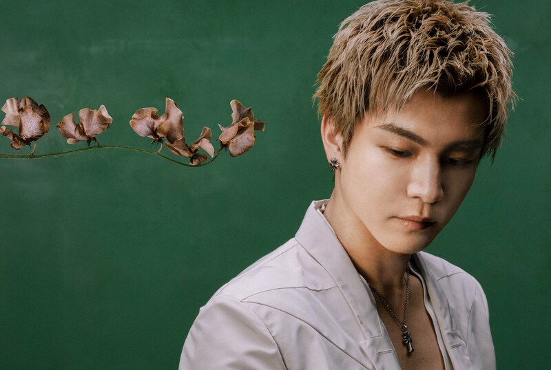 岩田剛典（三代目 J SOUL BROTHERS）