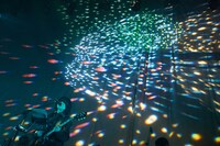 畳野彩加（Vo, G / Homecomings）（撮影：池野詩織）