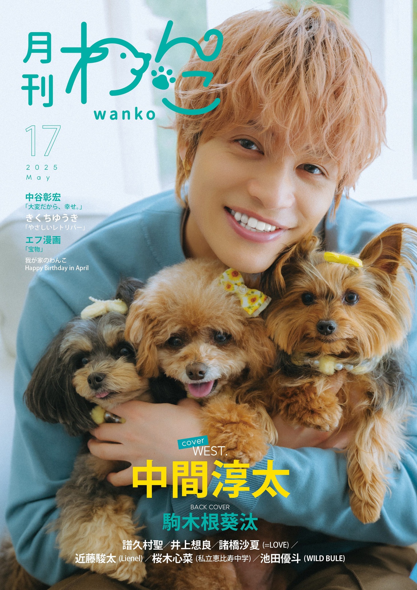 「月刊わんこvol.17」表紙