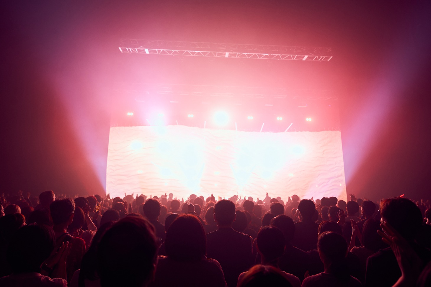 「MONKEY MAJIK 25th Anniversary」の様子。オープニングを経て紗幕が落ちる瞬間。（Photo by AmonRyu）