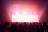 「MONKEY MAJIK 25th Anniversary」の様子。オープニングを経て紗幕が落ちる瞬間。(Photo by AmonRyu)