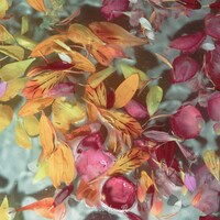 なきごと「たぶん、愛」ジャケット