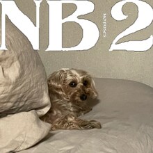 No Buses「NB2」ジャケット