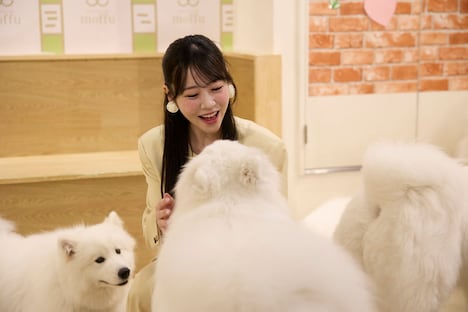 「あそばにゃそんそん」バラエティパートの様子。©︎「あそばにゃそんそん」製作委員会