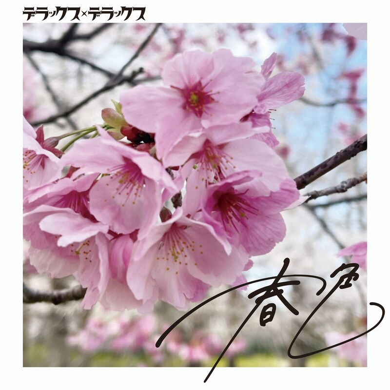 デラックス×デラックス「春色」ジャケット