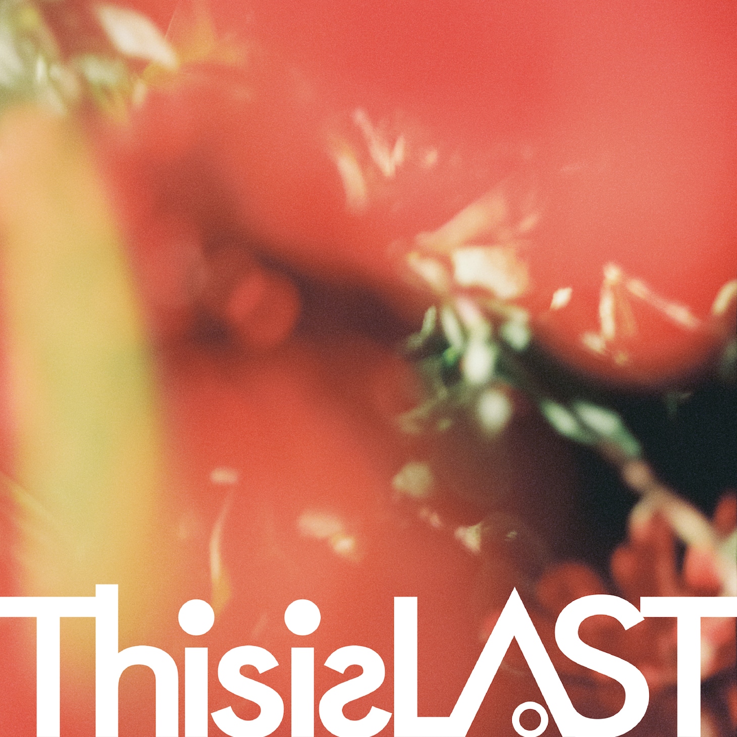 This is LAST「火の花」ジャケット