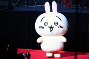 レッドカーペットを進むうさぎ。
