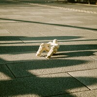 砂の壁「がらくたの飛行」ジャケット