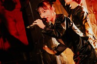 チッチチチーチーチー（ASP）（撮影：かわどう）