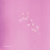 androp「Mirai Bana」ジャケット