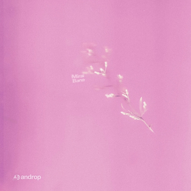 androp「Mirai Bana」ジャケット