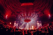 「go!go!vanillas Lab. TOUR 2024-2025」日本武道館公演の様子。（撮影：renzo）