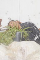 ハウイー・リー