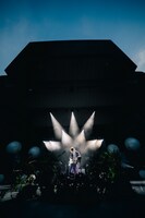 須田景凪（撮影：藤井拓）