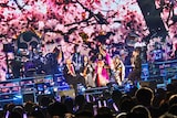 「和楽器バンド Japan Tour 2024 THANKS ~八奏ノ音~」の模様。(Photo by KEIKO TANABE)