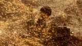 Mr.Children「Mr.Children tour 2024 miss you arena tour」ライブ映像より。