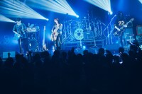 山本彩のライブの様子。（撮影：山川哲矢）