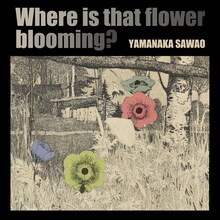 山中さわお「あの花はどこに咲いている」ジャケット
