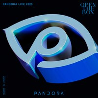 PANDORA「PANDORA LIVE 2025 -OPEN THE BOX-」初回限定盤BOXジャケット