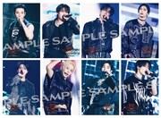 「Stray Kids World Tour ＜dominATE JAPAN＞ Live Viewing」来場者プレゼントのステッカーサンプル画像。