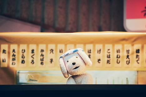 「鮨 よし澤」の看板犬・ウィンディ。（撮影：山川哲矢）