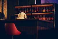 ウィンディ（撮影：山川哲矢）