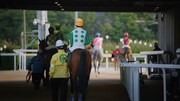船橋競馬場の新CM「ホース編」より。