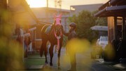 船橋競馬場の新CM「ホース編」より。
