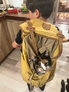 愛猫のピクシーをおんぶするゆーまくん。