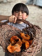 カナダの自宅にて。自宅の森で収穫したロブスターマッシュルームを見せるゆーまくん。