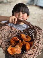 カナダの自宅にて。自宅の森で収穫したロブスターマッシュルームを見せるゆーまくん。