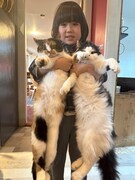 愛猫のピクシー、たまちゃんと。