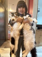 愛猫のピクシー、たまちゃんと。