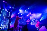 「SANDAL TELEPHONE 6th Anniversary Live 'SAKURA'」の様子。