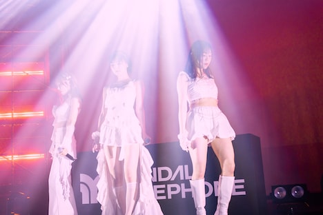 「SANDAL TELEPHONE 6th Anniversary Live 'SAKURA'」の様子。