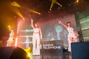 「SANDAL TELEPHONE 6th Anniversary Live 'SAKURA'」の様子。