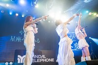 「SANDAL TELEPHONE 6th Anniversary Live 'SAKURA'」の様子。
