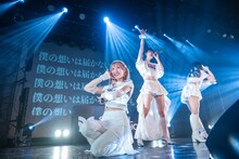 「SANDAL TELEPHONE 6th Anniversary Live 'SAKURA'」の様子。