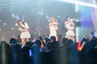 「SANDAL TELEPHONE 6th Anniversary Live 'SAKURA'」の様子。