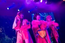 「SANDAL TELEPHONE 6th Anniversary Live 'SAKURA'」の様子。