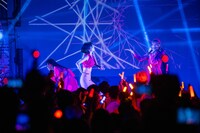 「SANDAL TELEPHONE 6th Anniversary Live 'SAKURA'」の様子。