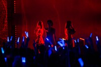 「SANDAL TELEPHONE 6th Anniversary Live 'SAKURA'」の様子。