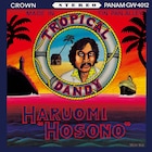 細野晴臣の2ndアルバム「TROPICAL DANDY」発売50周年を記念してアナログ盤リイシュー決定