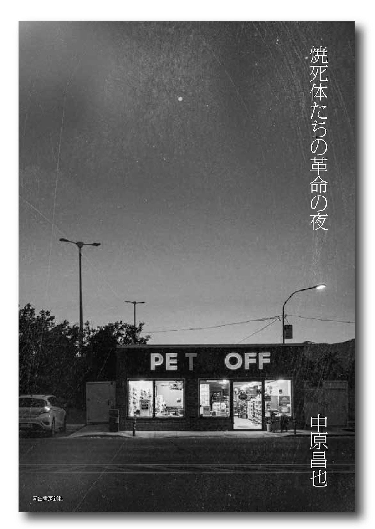 中原昌也、病後初の小説集「焼死体たちの革命の夜」発売 - 音楽ナタリー