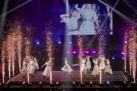 つばきファクトリー