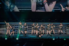 つばきファクトリー