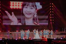 つばきファクトリー