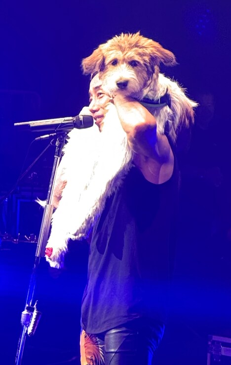 長渕剛と愛犬ボノ。（Photo by Hayato Ichihara）