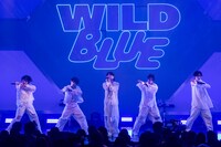 WILD BLUE
